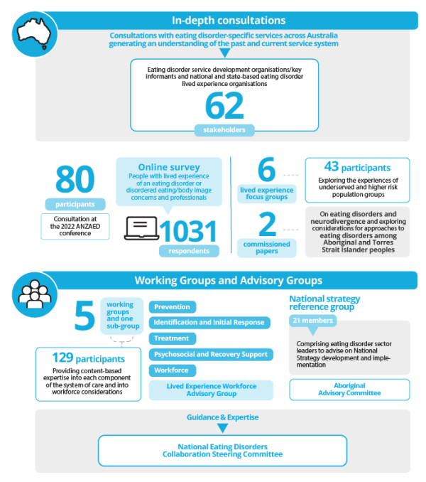 National Strategy development infographic